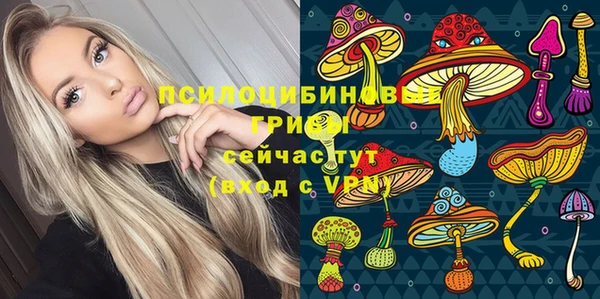 PSILOCYBIN Алексин