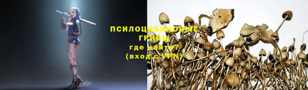 прущие крисы Армянск