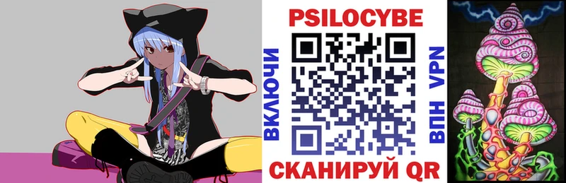 Псилоцибиновые грибы Psilocybe  Колпашево 